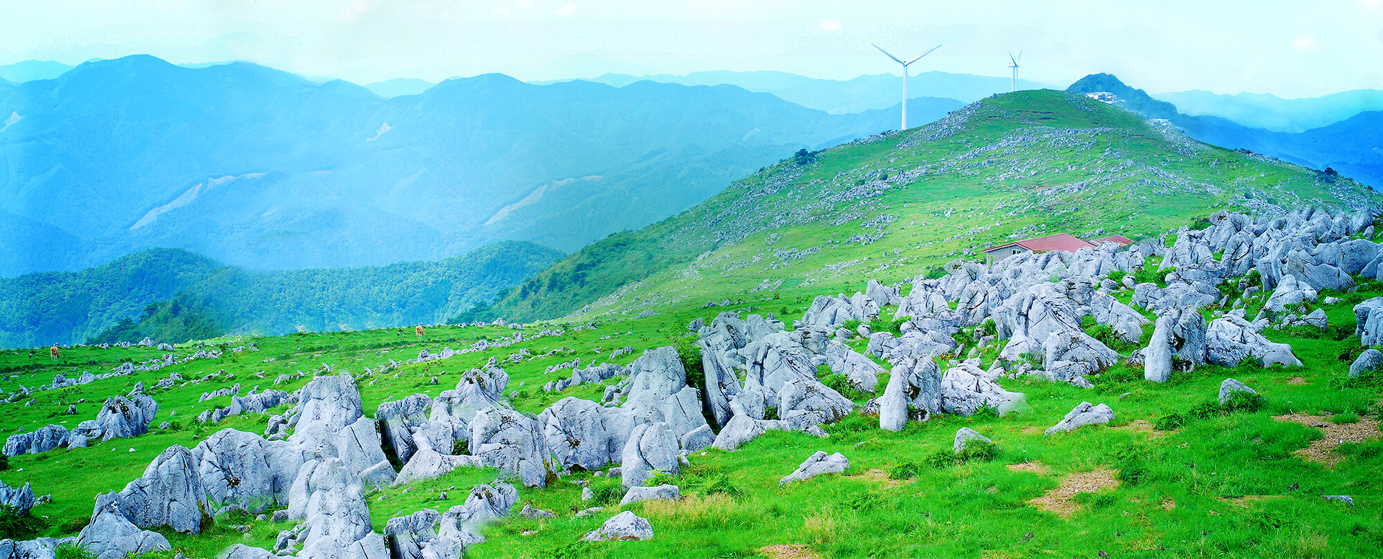 久万高原町観光協会